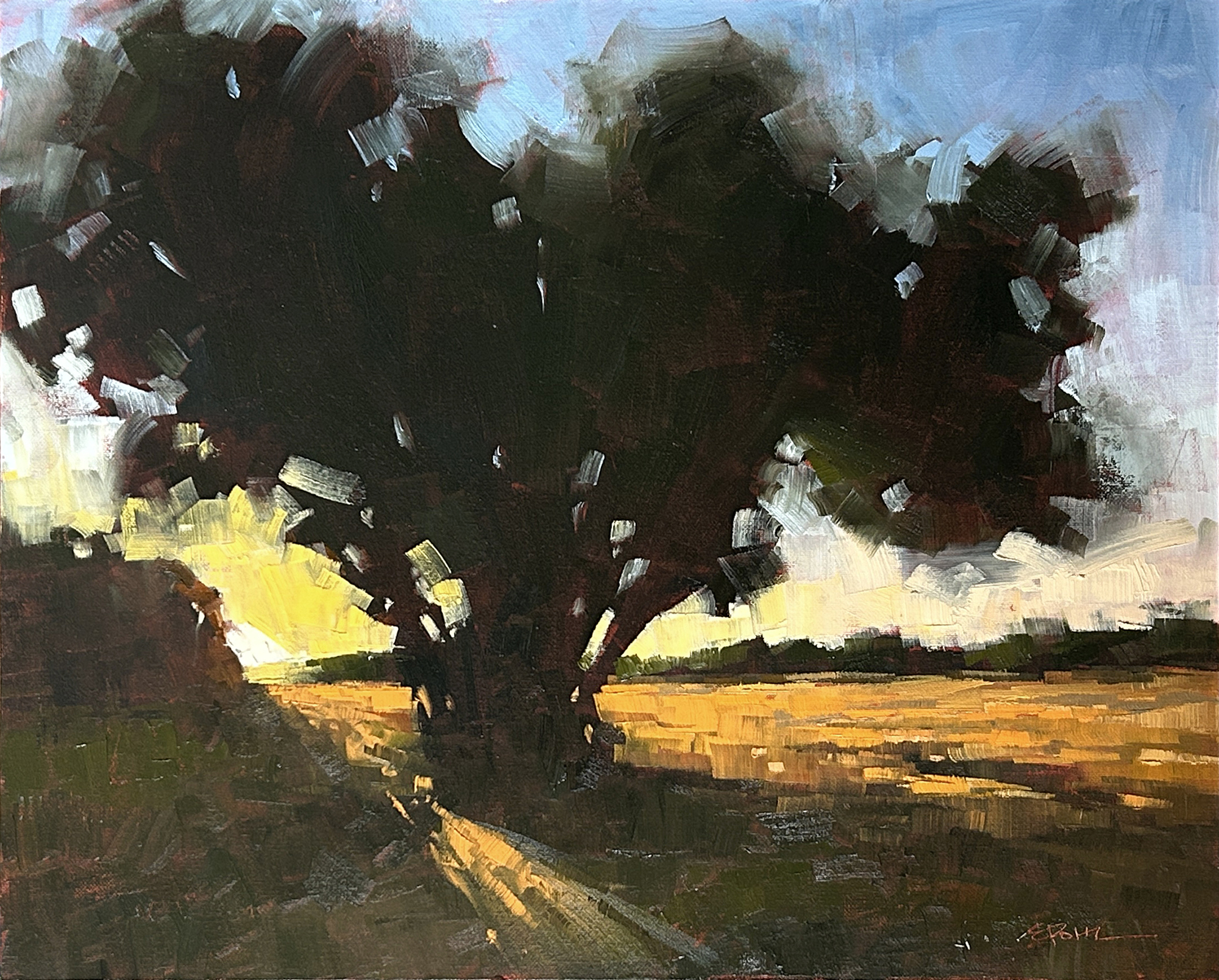 Morning Glow IMG_7120